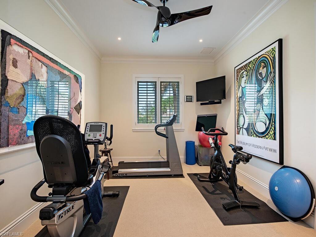 IBIS COVE AT BONITA BAY - Residential