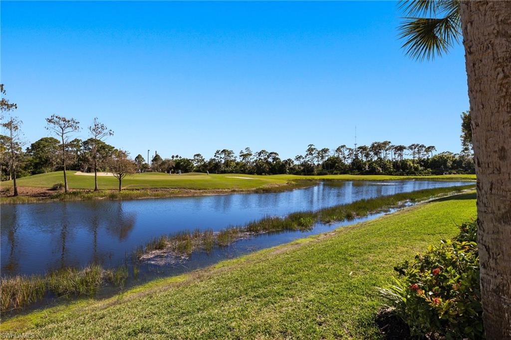 PALMETTO DUNES - Residential