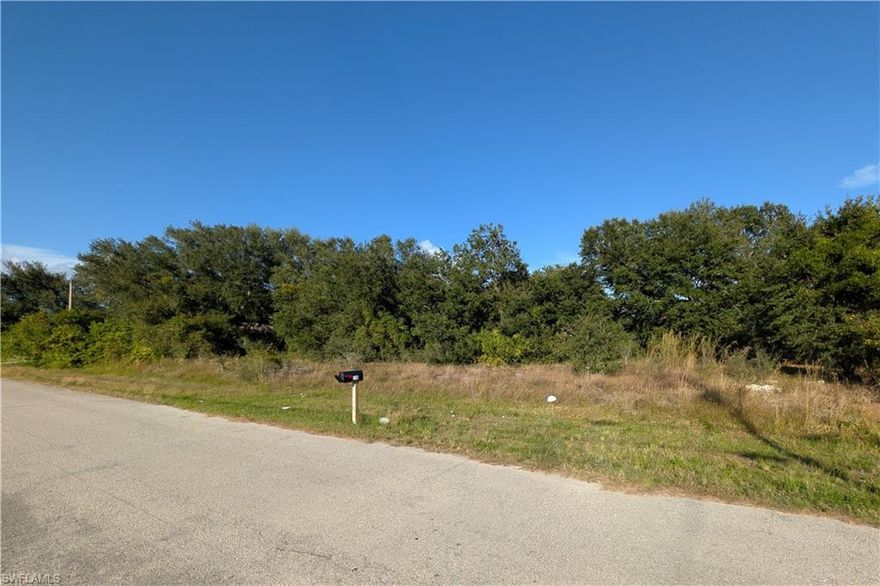 Don't miss your opportunity today to purchase 117 Parish Dr, a vacant lot in the rapidly developing 33974 Lehigh Acres zip code. This lot is ready to be cleared by it's new owner, and has electricity already present on adjacent lots. This property will not last long, call today!