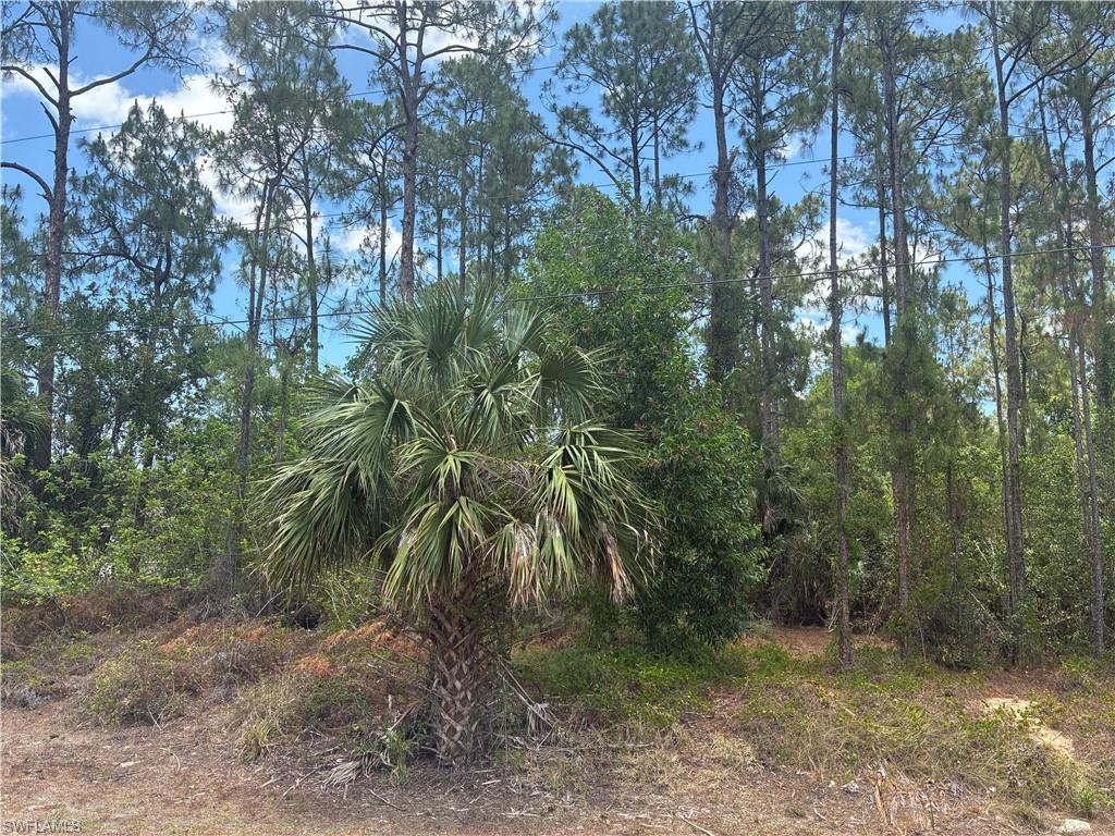 5043 Palmetto Woods DR