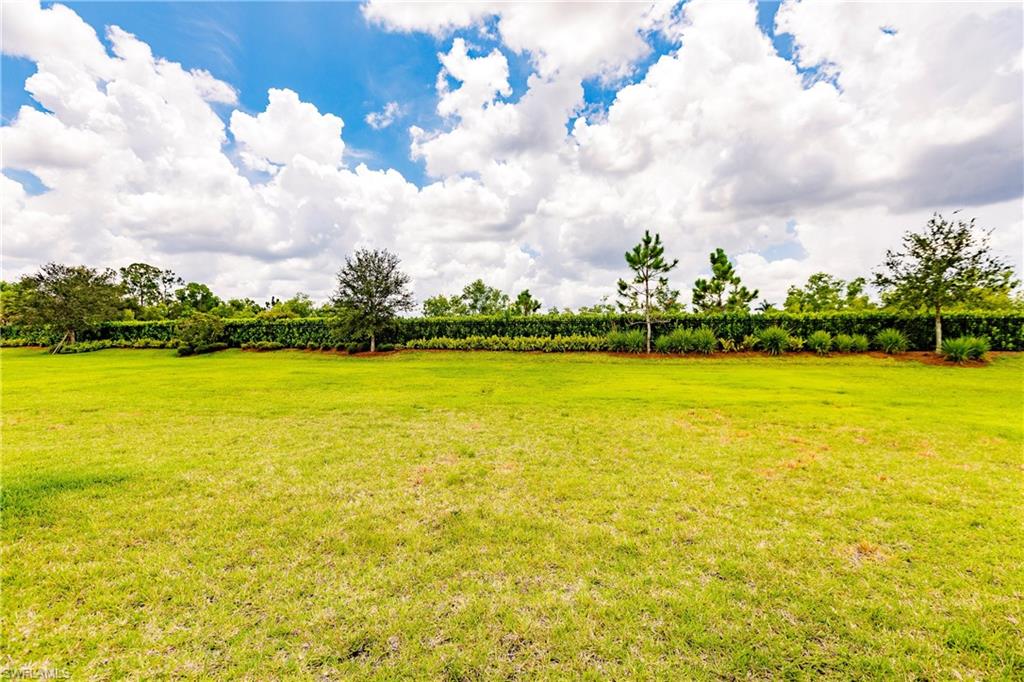 PRATO AT PELICAN PRESERVE - Residential