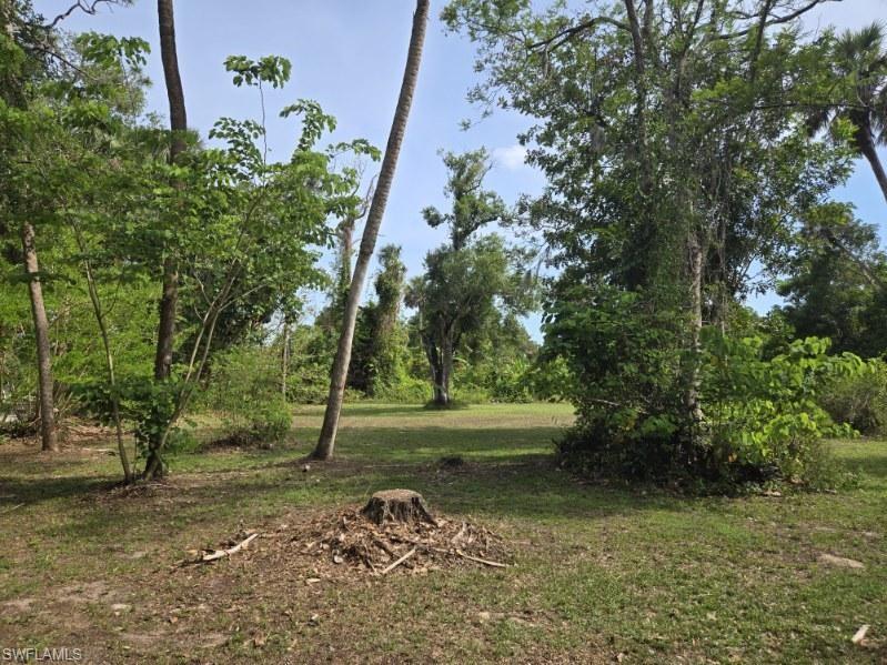 NORTH FORT MYERS - Land