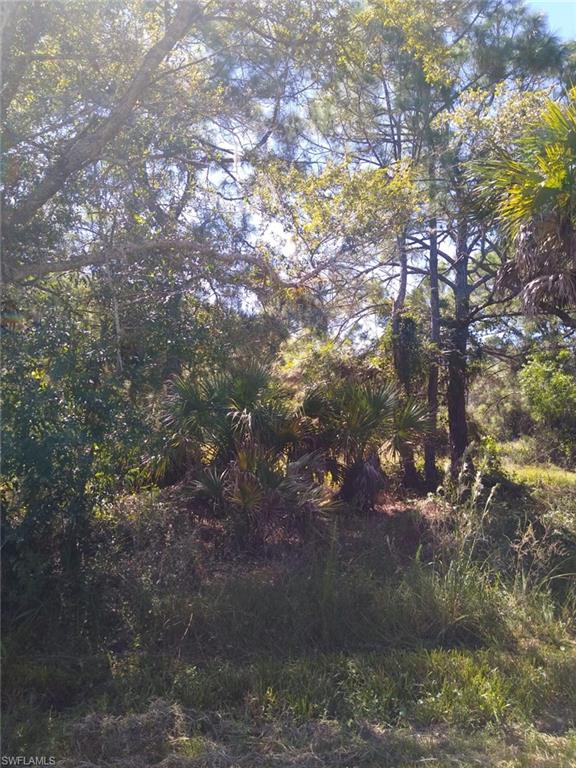 TROPICAL GULF ACRES - Land