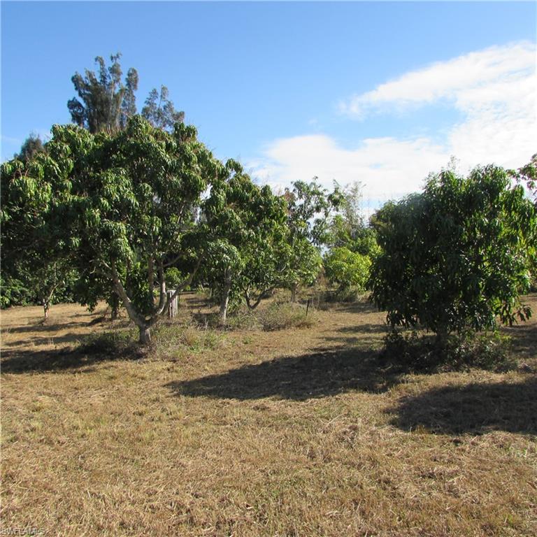 GULF SHORES ESTATES - Land