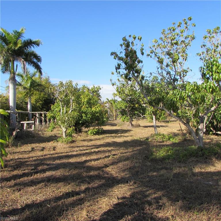 GULF SHORES ESTATES - Land