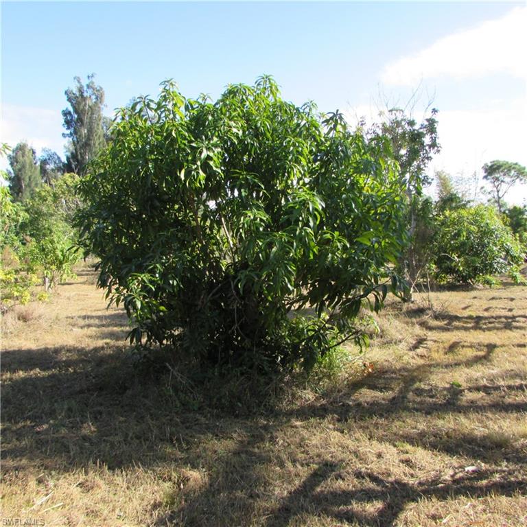 GULF SHORES ESTATES - Land