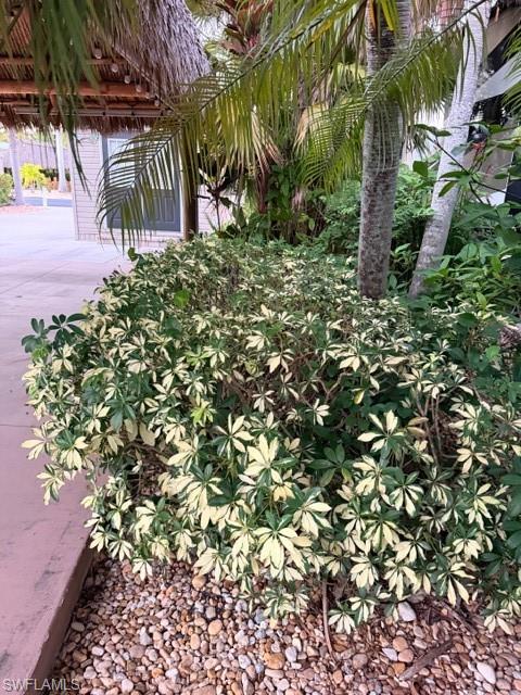 CYPRESS TRAIL RV RESORT - Land