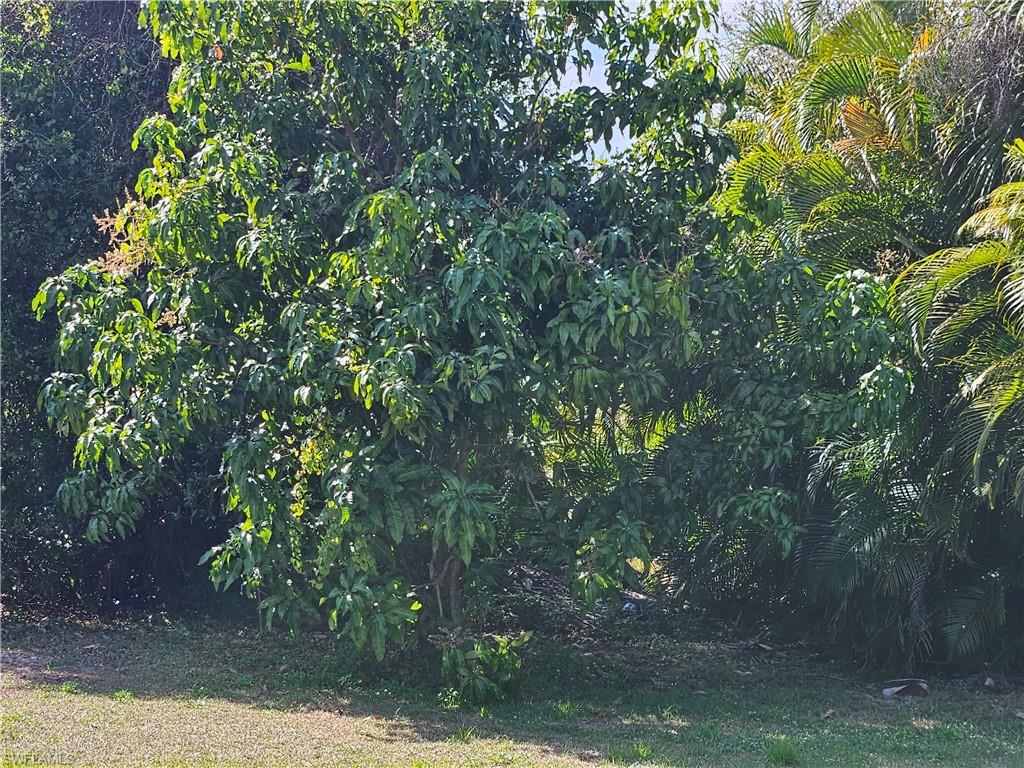 LEHIGH ACRES - Residential Lease