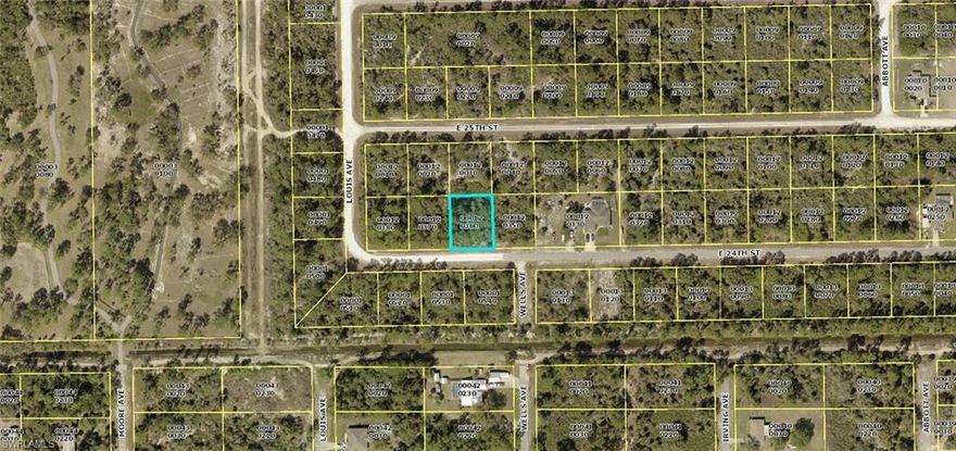 Beautiful large lot in Lehigh Acres with northern rear exposure. .29 acres of Florida paradise. Country living at its finest! Lush vegetation surrounds this area so if you like tranquility and the sounds of nature, this homesite is for you. Close proximity to golf courses, shopping, restaurants, parks, airport and beaches!
