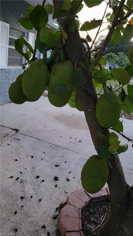 ALABAMA GROVE TERRACE - Residential