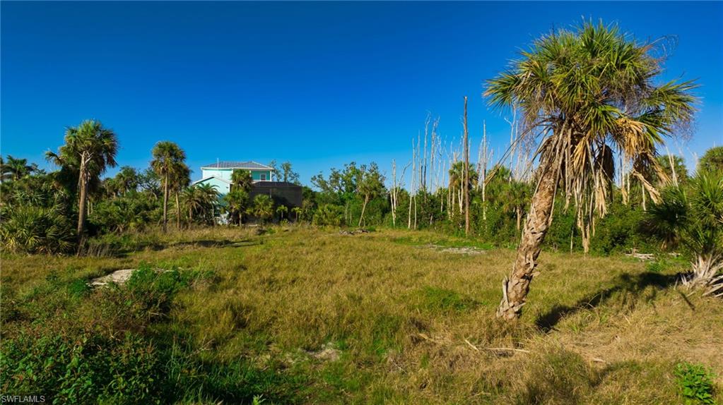 COTTAGE POINT UNREC - Land