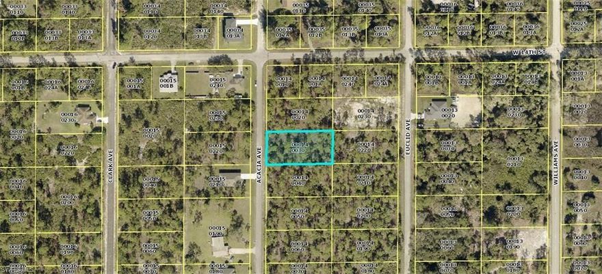 Excellent opportunity to build your new home on a half acre lot in an area with other new construction homes being built.  Just a short drive to Fort Myers and Punta Gorda airports, two spring training facilities and beaches!