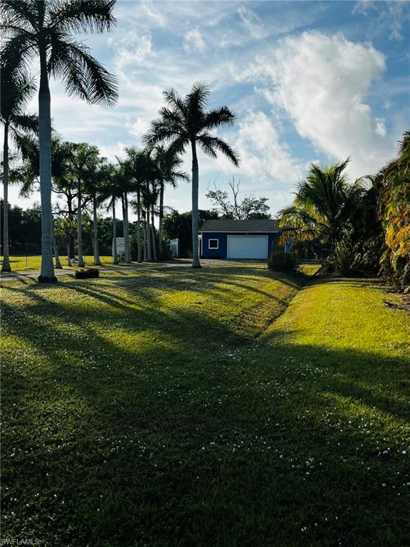 KREAMERS AVOCADO UNREC - Land