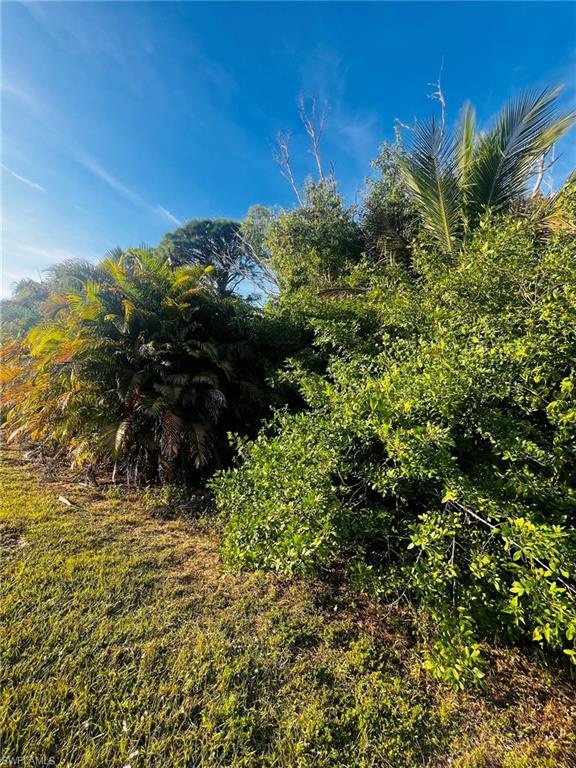 KREAMERS AVOCADO UNREC - Land