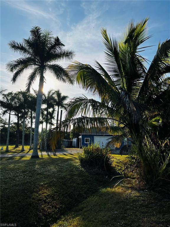 KREAMERS AVOCADO UNREC - Land