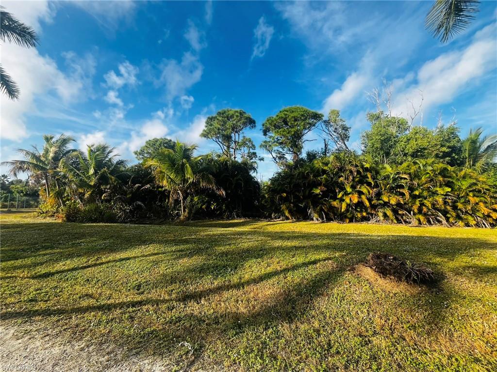 KREAMERS AVOCADO UNREC - Land