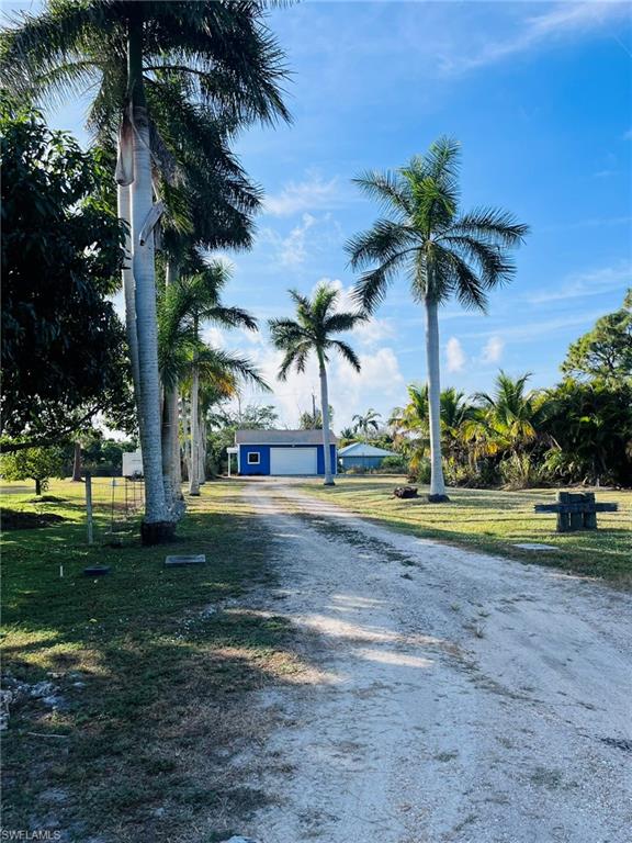 KREAMERS AVOCADO UNREC - Land