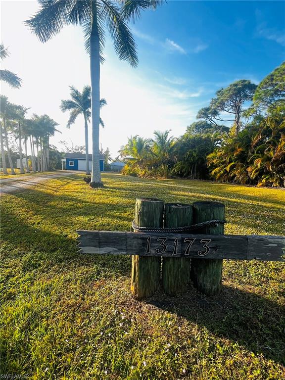 KREAMERS AVOCADO UNREC - Land