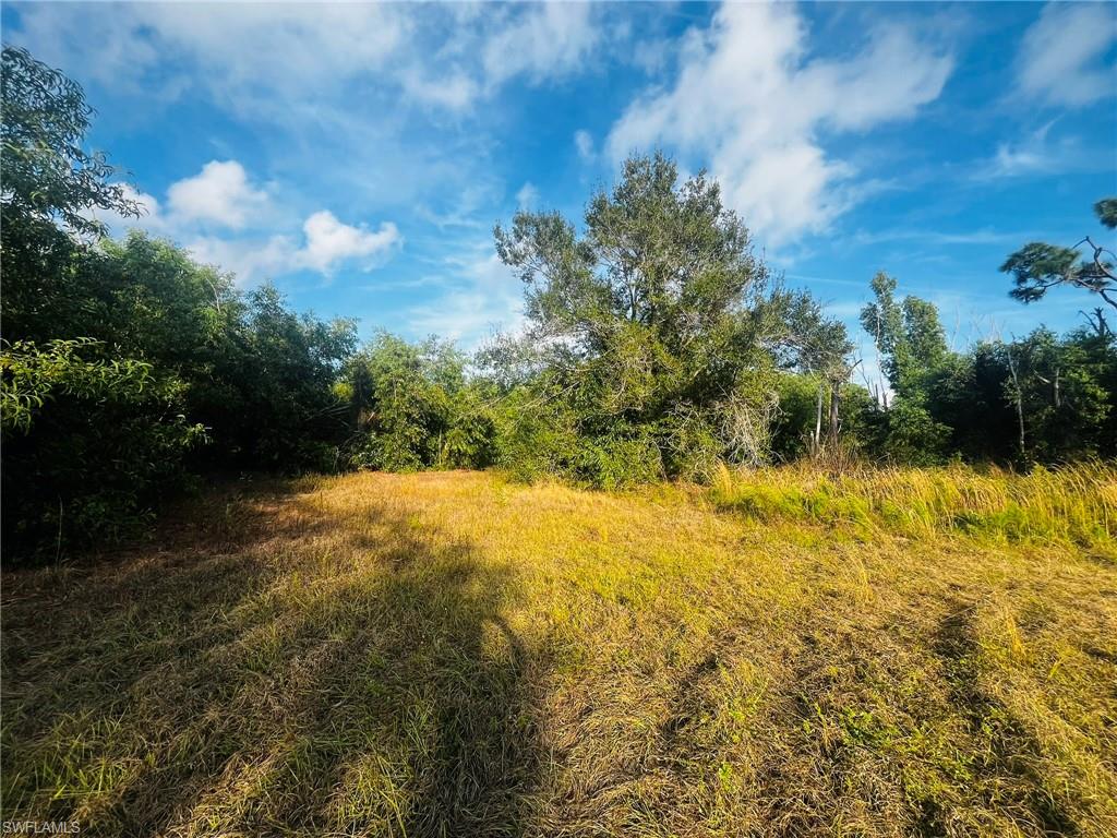 KREAMERS AVOCADO UNREC - Land