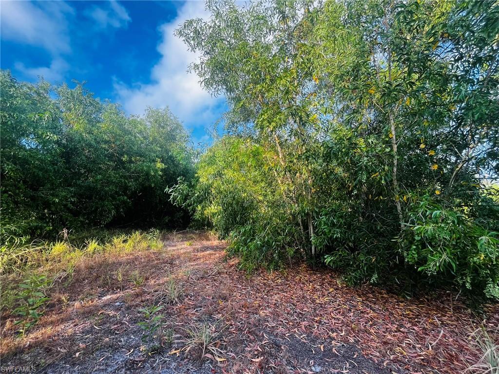 KREAMERS AVOCADO UNREC - Land