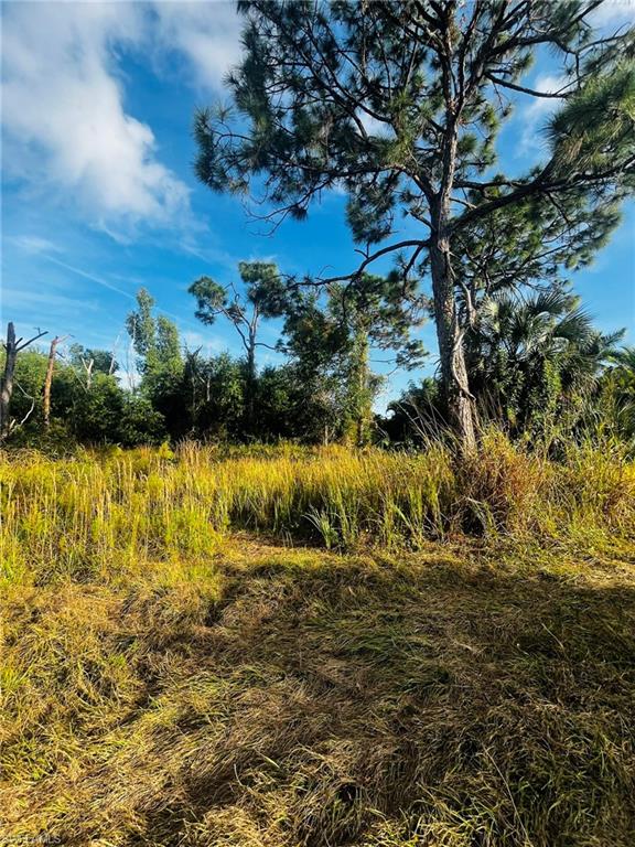 KREAMERS AVOCADO UNREC - Land