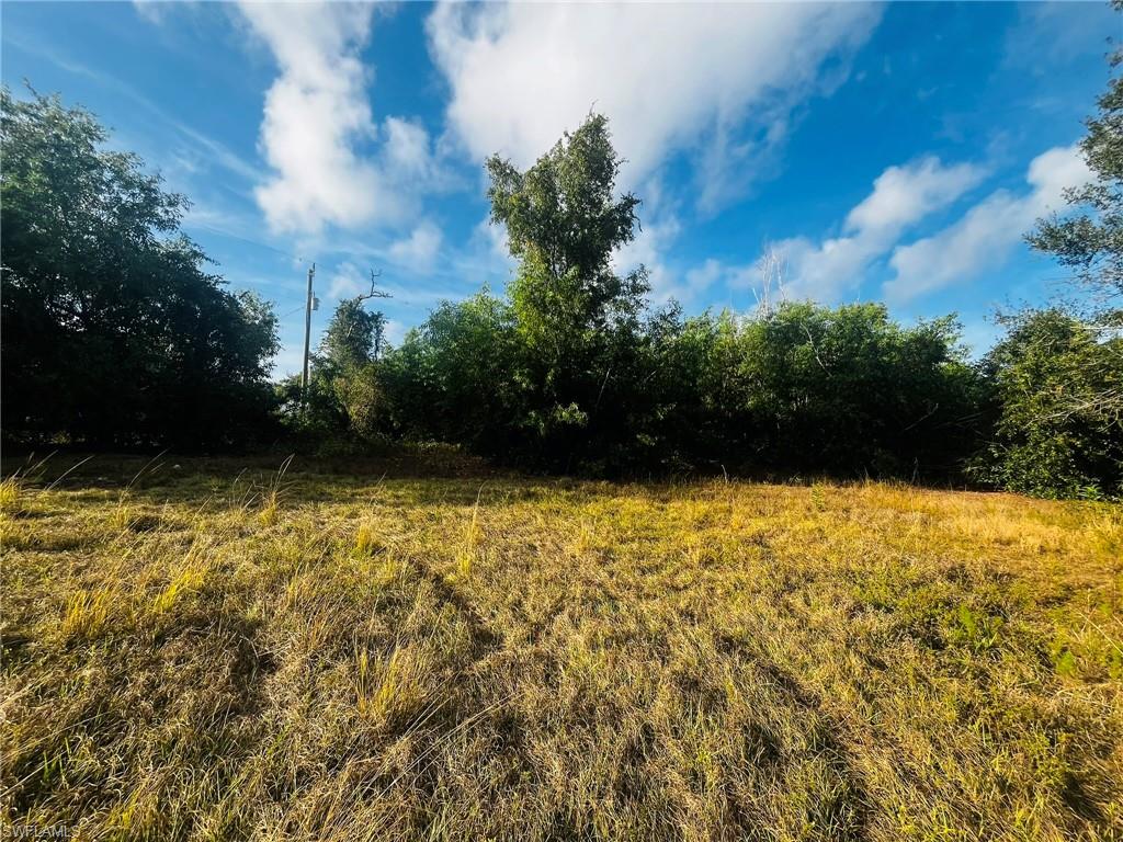 KREAMERS AVOCADO UNREC - Land