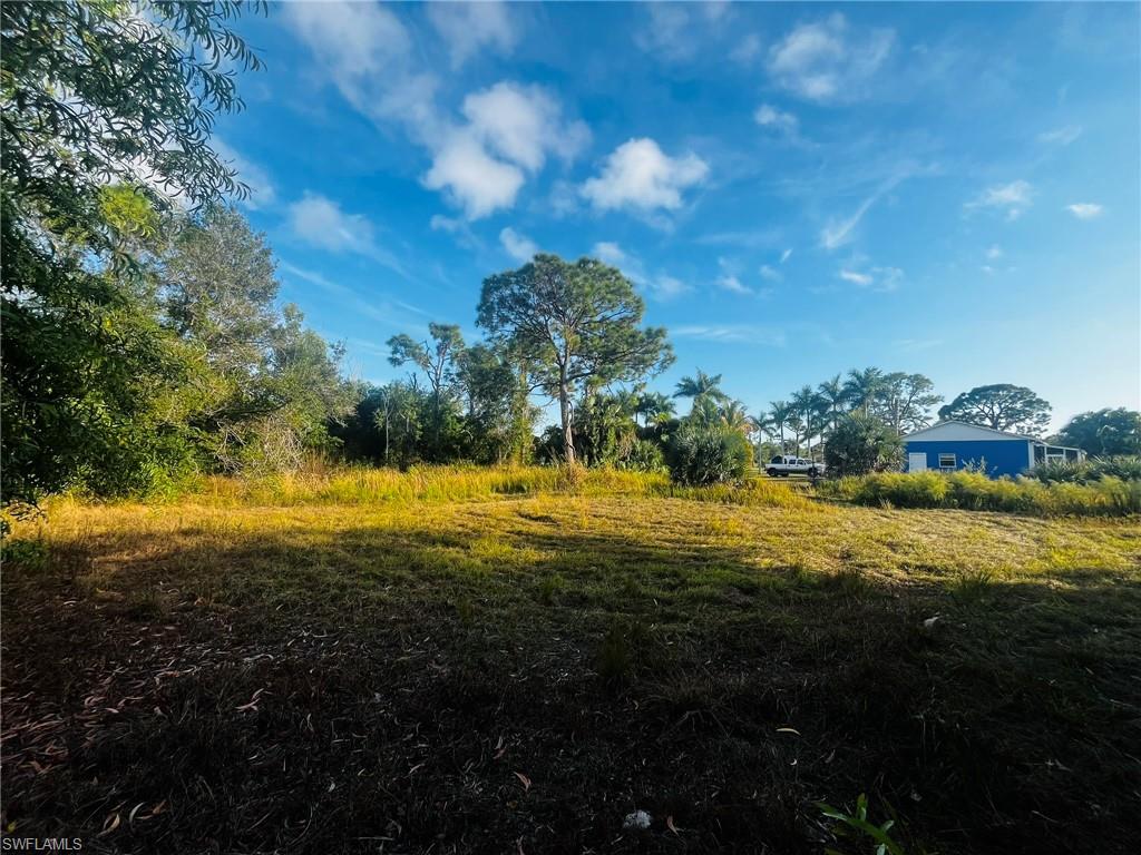 KREAMERS AVOCADO UNREC - Land