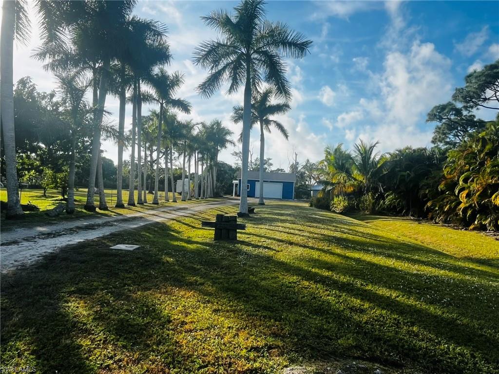 KREAMERS AVOCADO UNREC - Land