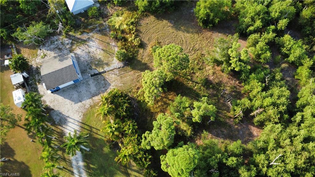 KREAMERS AVOCADO UNREC - Land