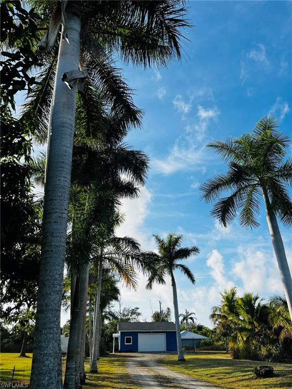 KREAMERS AVOCADO UNREC - Land