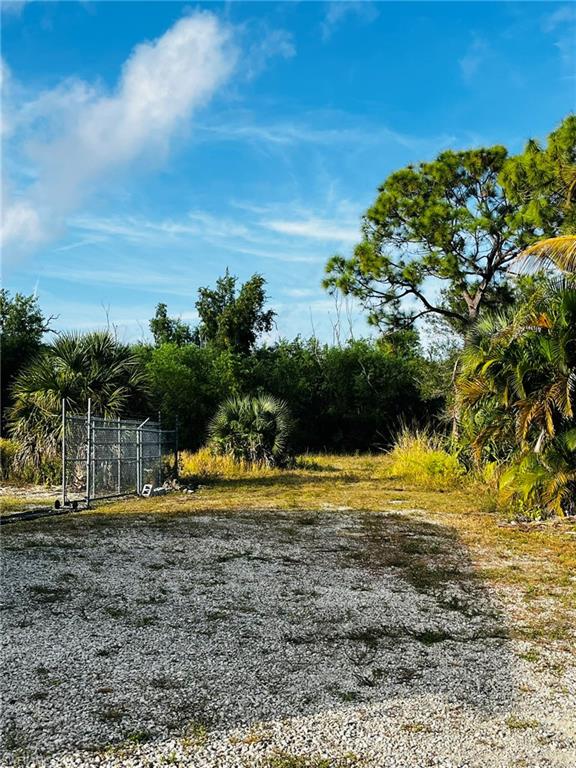 KREAMERS AVOCADO UNREC - Land