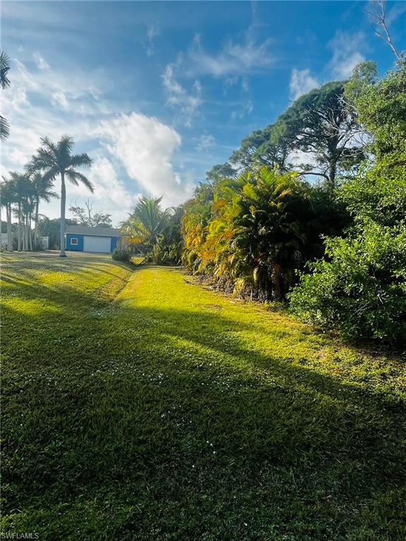 KREAMERS AVOCADO UNREC - Land