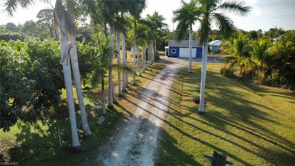 KREAMERS AVOCADO UNREC - Land