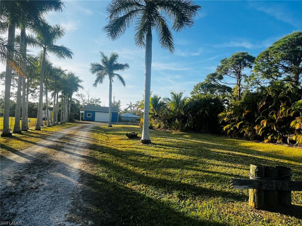 KREAMERS AVOCADO UNREC - Land