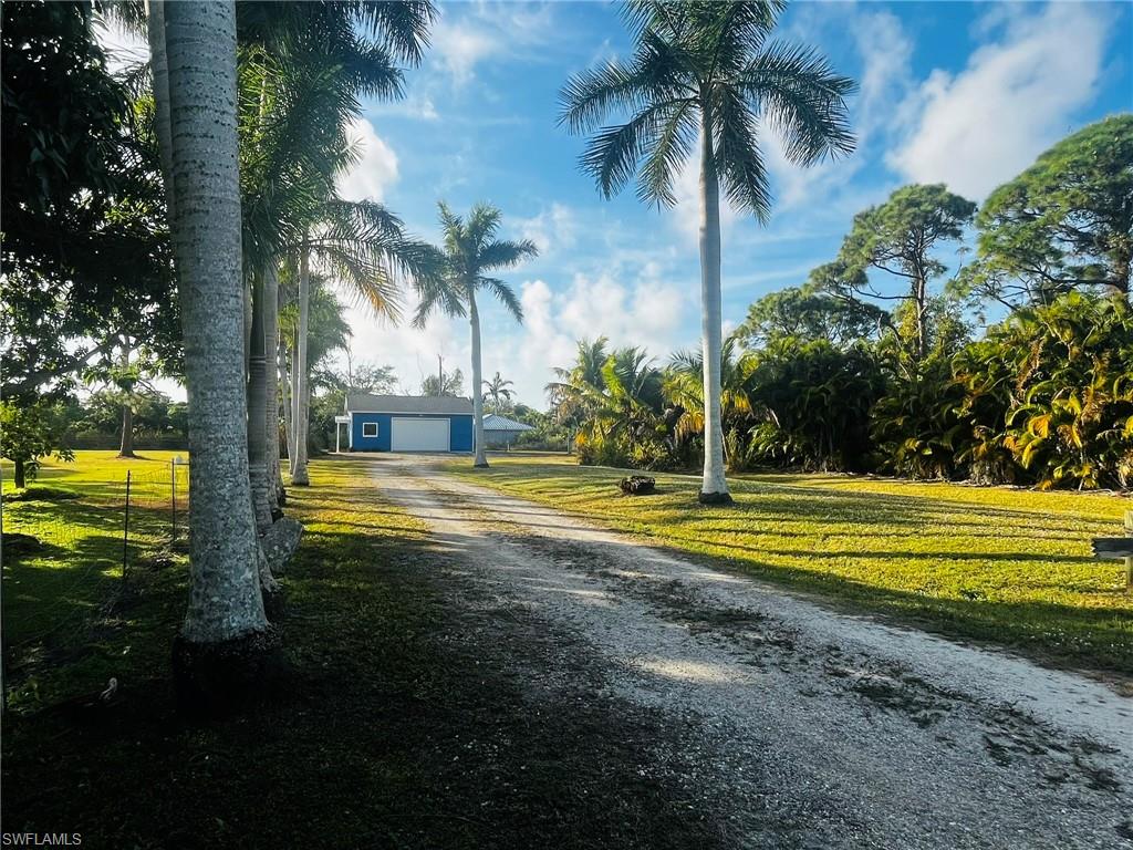 KREAMERS AVOCADO UNREC - Land