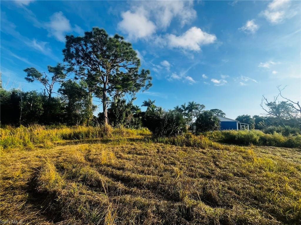 KREAMERS AVOCADO UNREC - Land