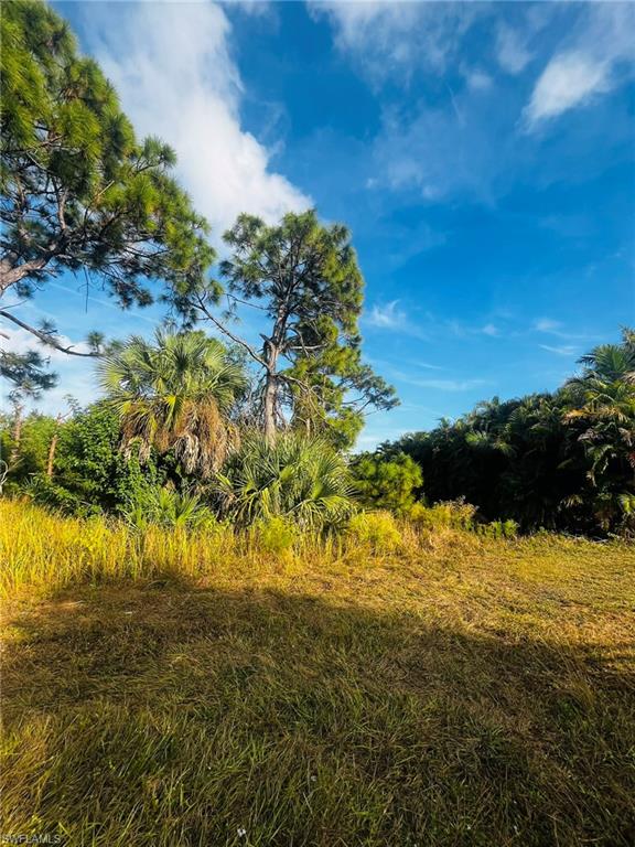 KREAMERS AVOCADO UNREC - Land