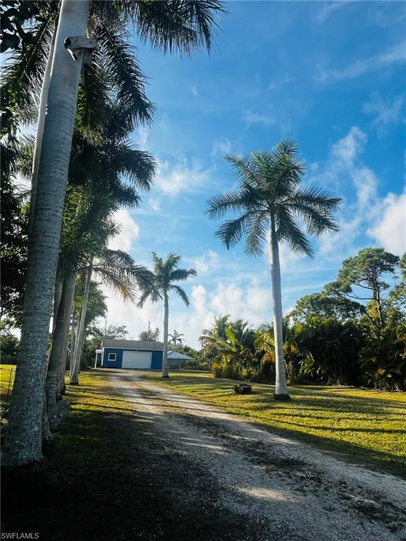 KREAMERS AVOCADO UNREC - Land