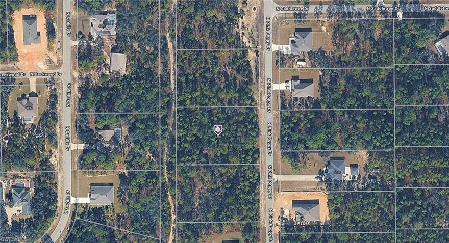 A VACANT LOT IN BEVERLY HILLS IN CITRUS COUNTY!!!