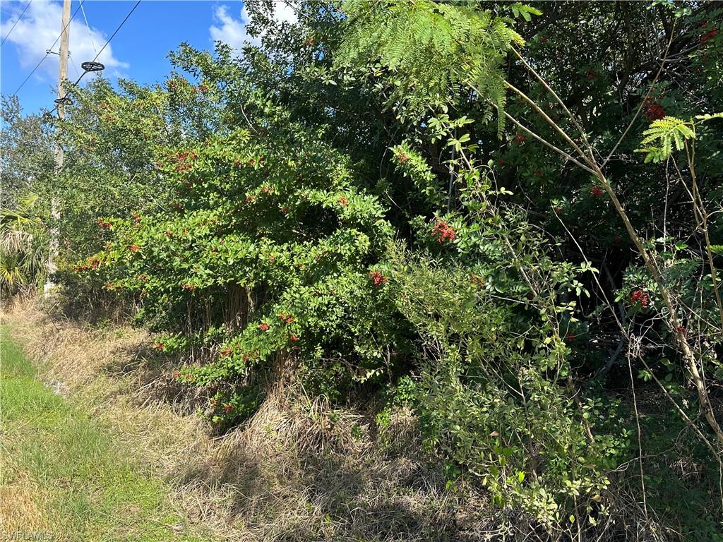 PORT CHARLOTTE - Land