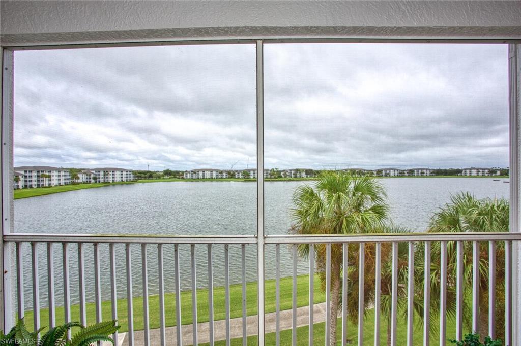 10480 Washingtonia Palm WAY 1144