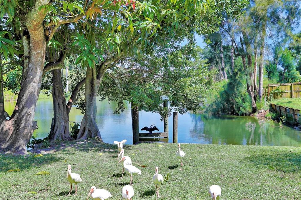 COLONIAL TERRACE - Residential