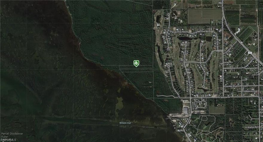 wasteland, land lock, need easement after owning, lot has no ground access, possibly by water to walk it/need a permission from the state, as-is only, buyer is due diligence, approx location 26.667372, -82.162074