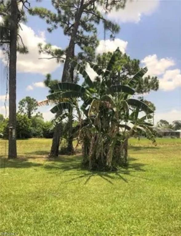 MIRROR LAKES - Residential