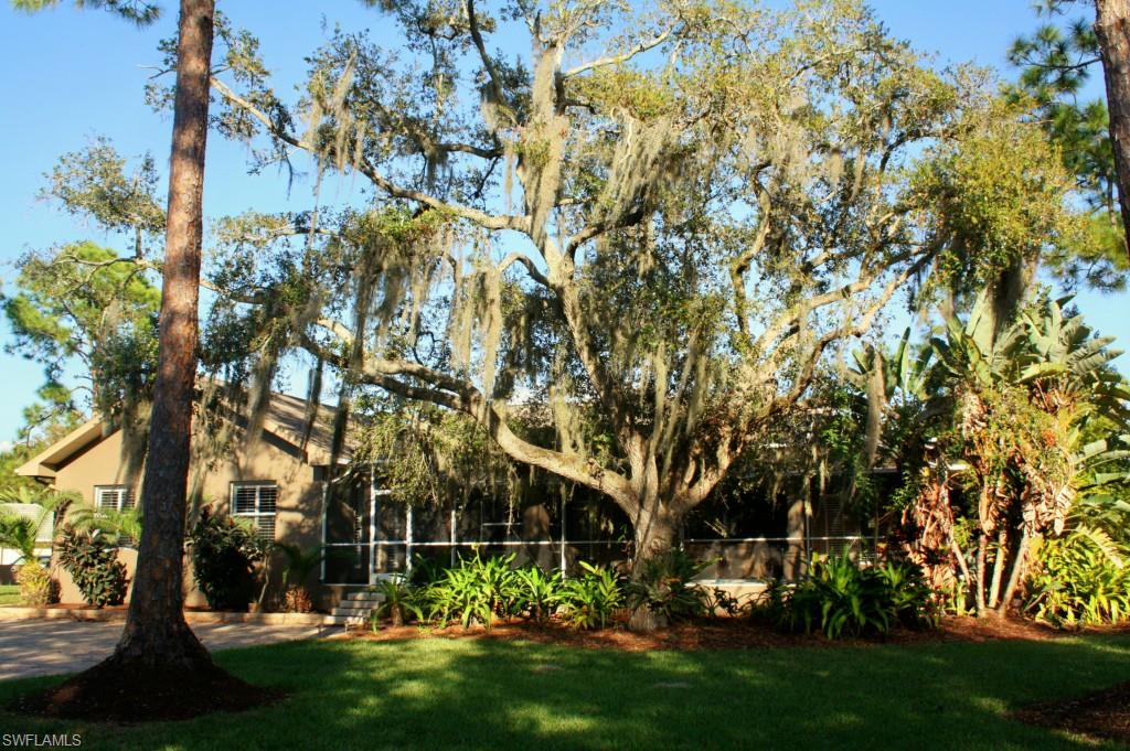 SKYLINE WOODS - Residential