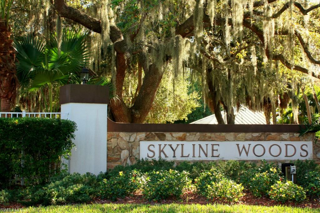 SKYLINE WOODS - Residential