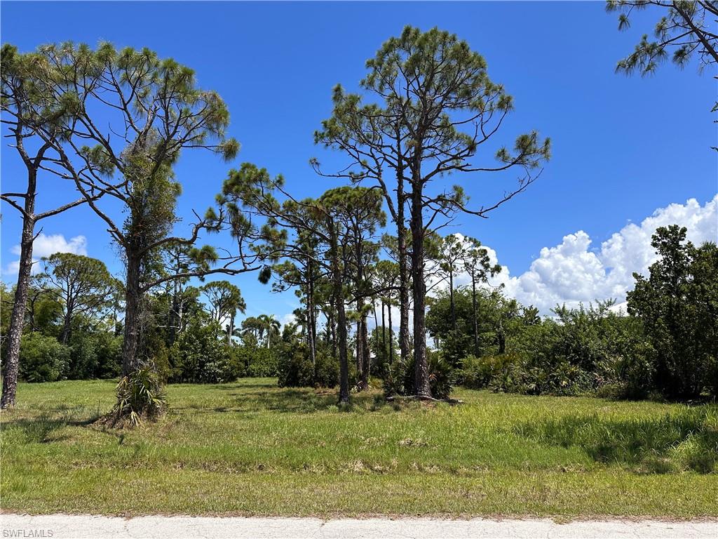 PINE ISLAND TROPICAL HOMESITES - Land