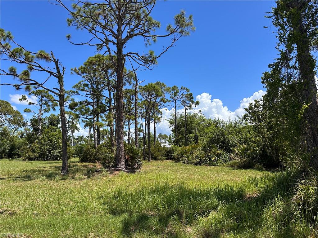 PINE ISLAND TROPICAL HOMESITES - Land