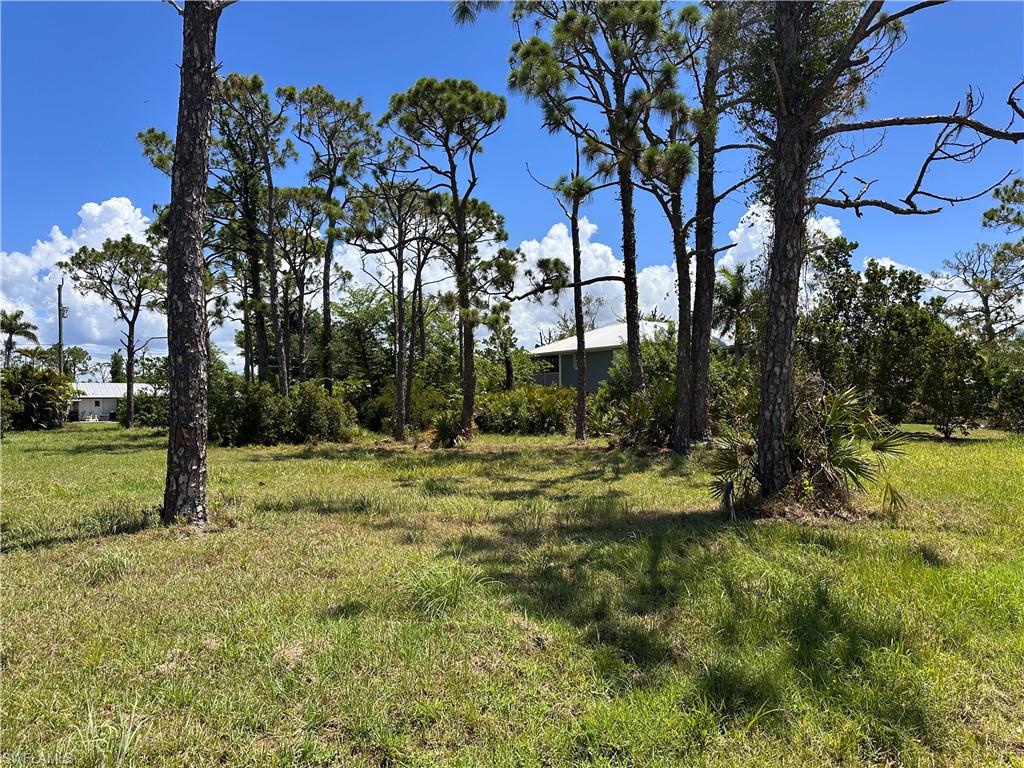 PINE ISLAND TROPICAL HOMESITES - Land