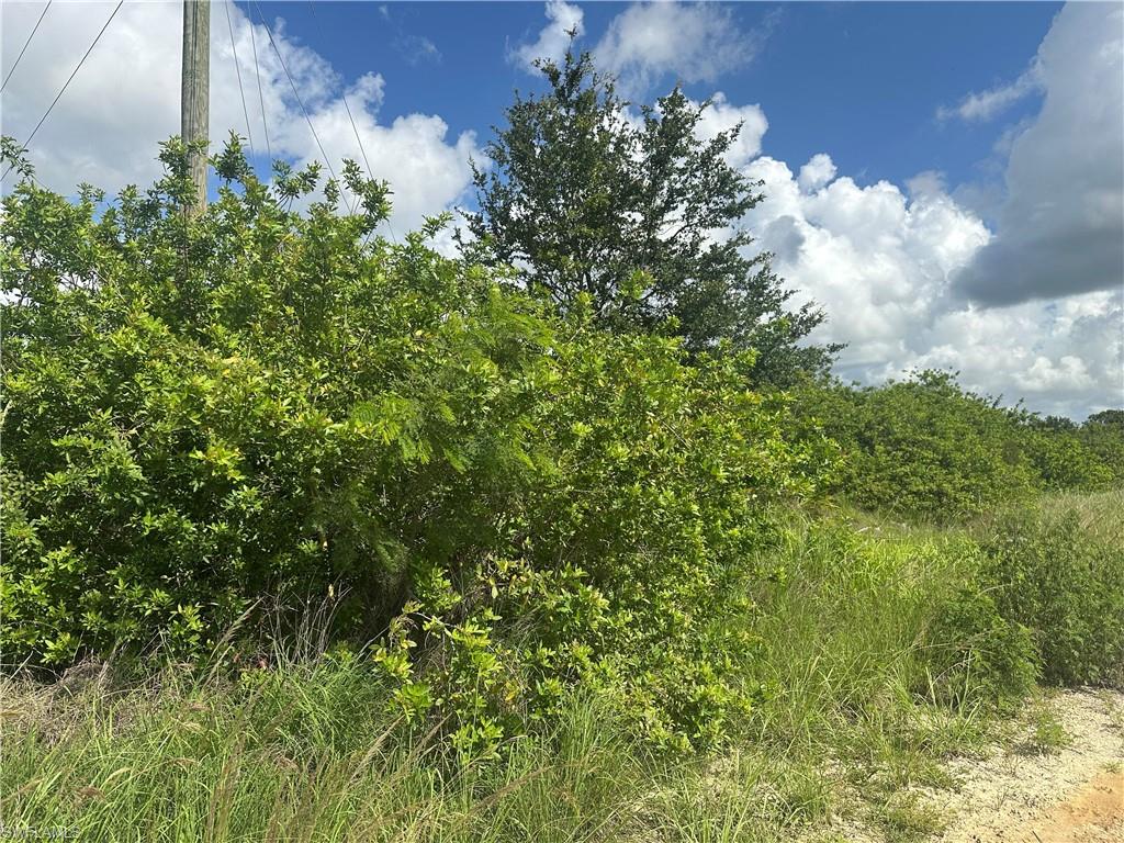 WHEELERS SUBD - Land